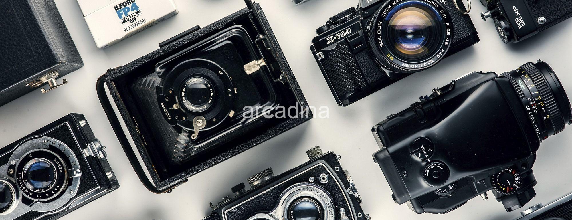 Panel - alexander-andrews-1196264-unsplash.jpg