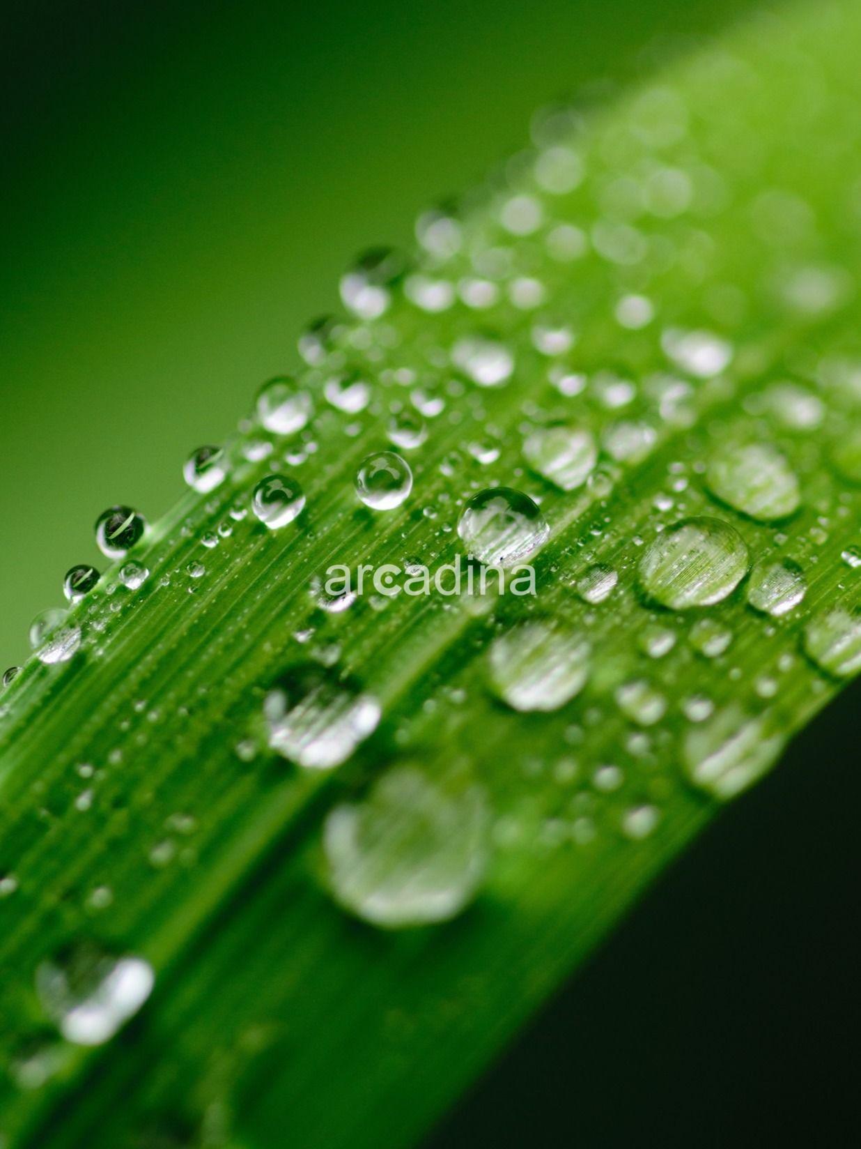 Panel - blur-bright-clean-459369.jpg